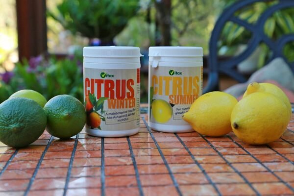 81T6MFzgJ9L._AC_SL1500_ Citrus Summer Soluble Feed – 200g | Promotes Strong Growth & Improved Fruiting