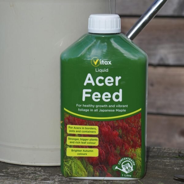 81YPPD1CFNL._SL1500_ Acer Liquid Feed – 1L | Enhances Vibrant Foliage & Promotes Stronger Growth