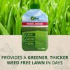 Vitax Feed & Weed Liquid Lawn Fertiliser – Lawn Feed with Added Weedkiller | Treats 200m²