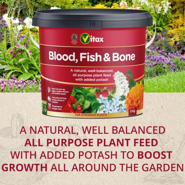 91NwBLSyneL._AC_SL1500_ Blood, Fish & Bone Fertiliser – 5kg Tub | Organic, Slow-Release Feed for Strong Root & Plant Growth