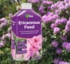 91Q55+5bA-L._AC_SL1500_ Ericaceous Liquid Feed – 1L | Ideal for Azaleas, Camellias & Rhododendrons