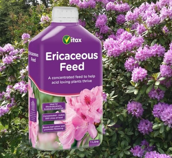 91Q55+5bA-L._AC_SL1500_ Ericaceous Liquid Feed – 1L | Ideal for Azaleas, Camellias & Rhododendrons