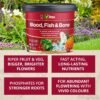 91cuE3rwMmL._AC_SL1500_ Blood, Fish & Bone Fertiliser – 5kg Tub | Organic, Slow-Release Feed for Strong Root & Plant Growth