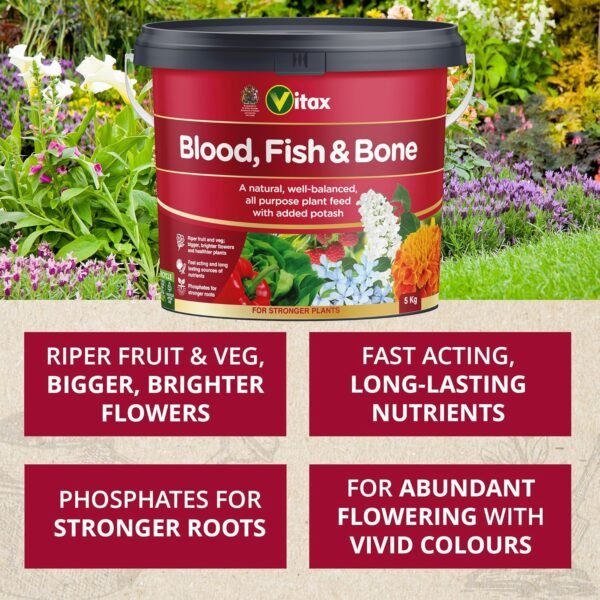 91cuE3rwMmL._AC_SL1500_ Blood, Fish & Bone Fertiliser – 5kg Tub | Organic, Slow-Release Feed for Strong Root & Plant Growth