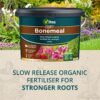 91pxshu0KcL._AC_SL1500_ Vitax Bonemeal Organic Fertiliser – 10kg Tub | Slow-Release Feed for Healthy Root Development | Ideal for All Plants, Vegetables & Fruit Trees